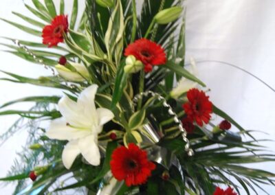Santas Gerbera